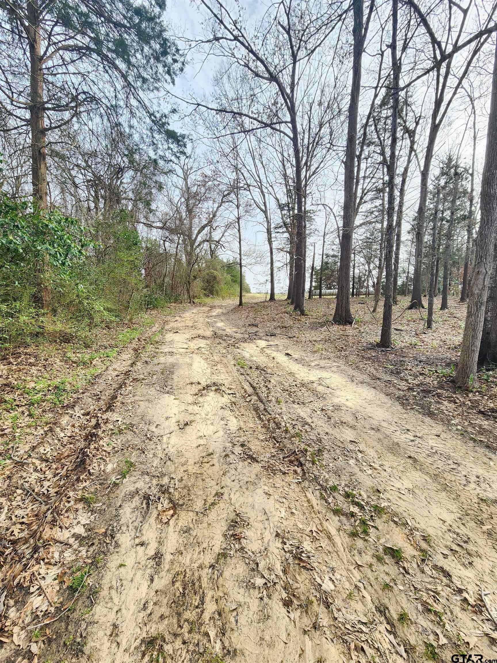 14 acres in Wood County - photo 6