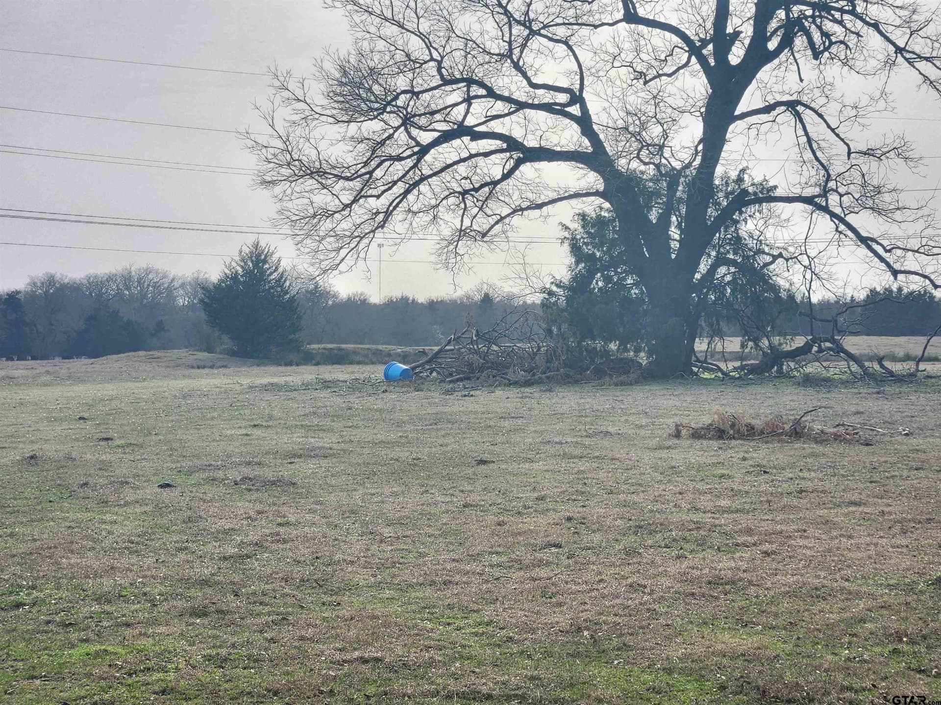 14 acres in Wood County - photo 4