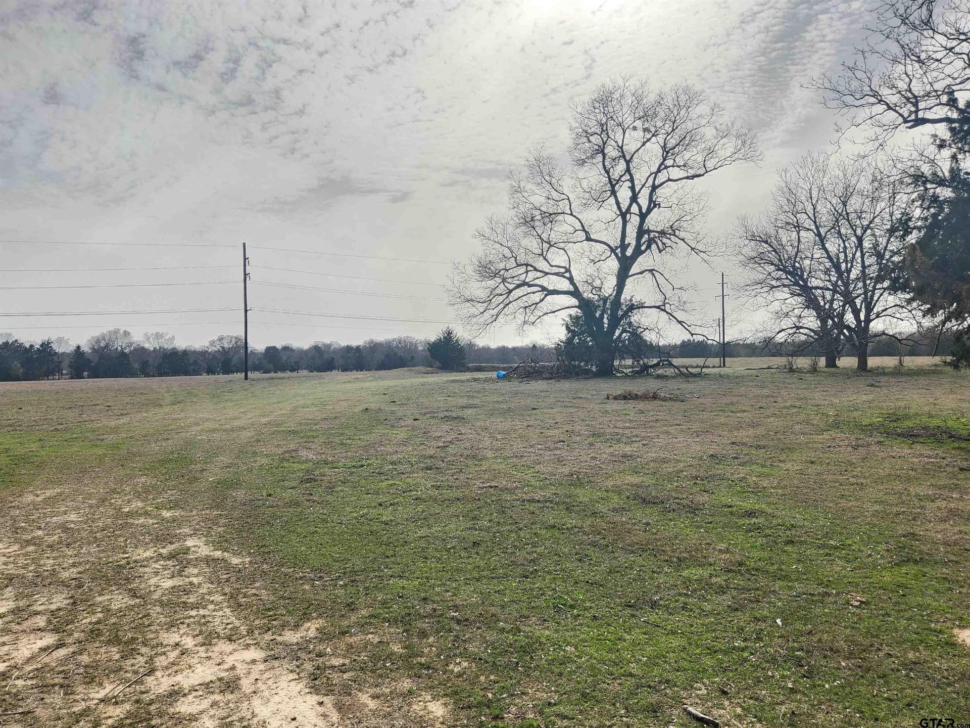 14 acres in Wood County - photo 3