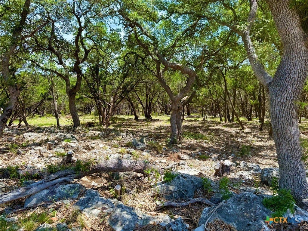 2.19 acres in Comal County - photo 4
