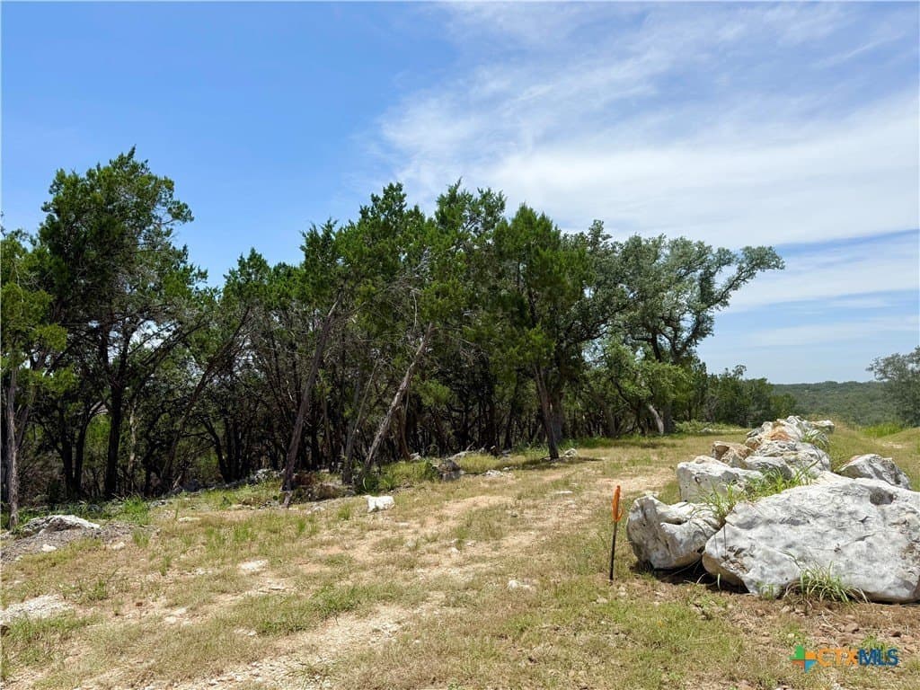 2.19 acres in Comal County - photo 5