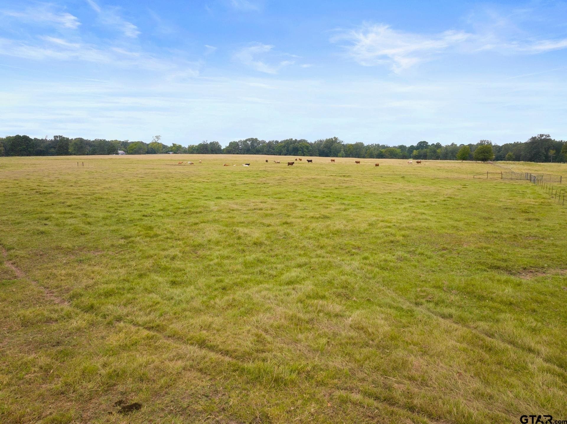160 acres in Titus County - photo 40