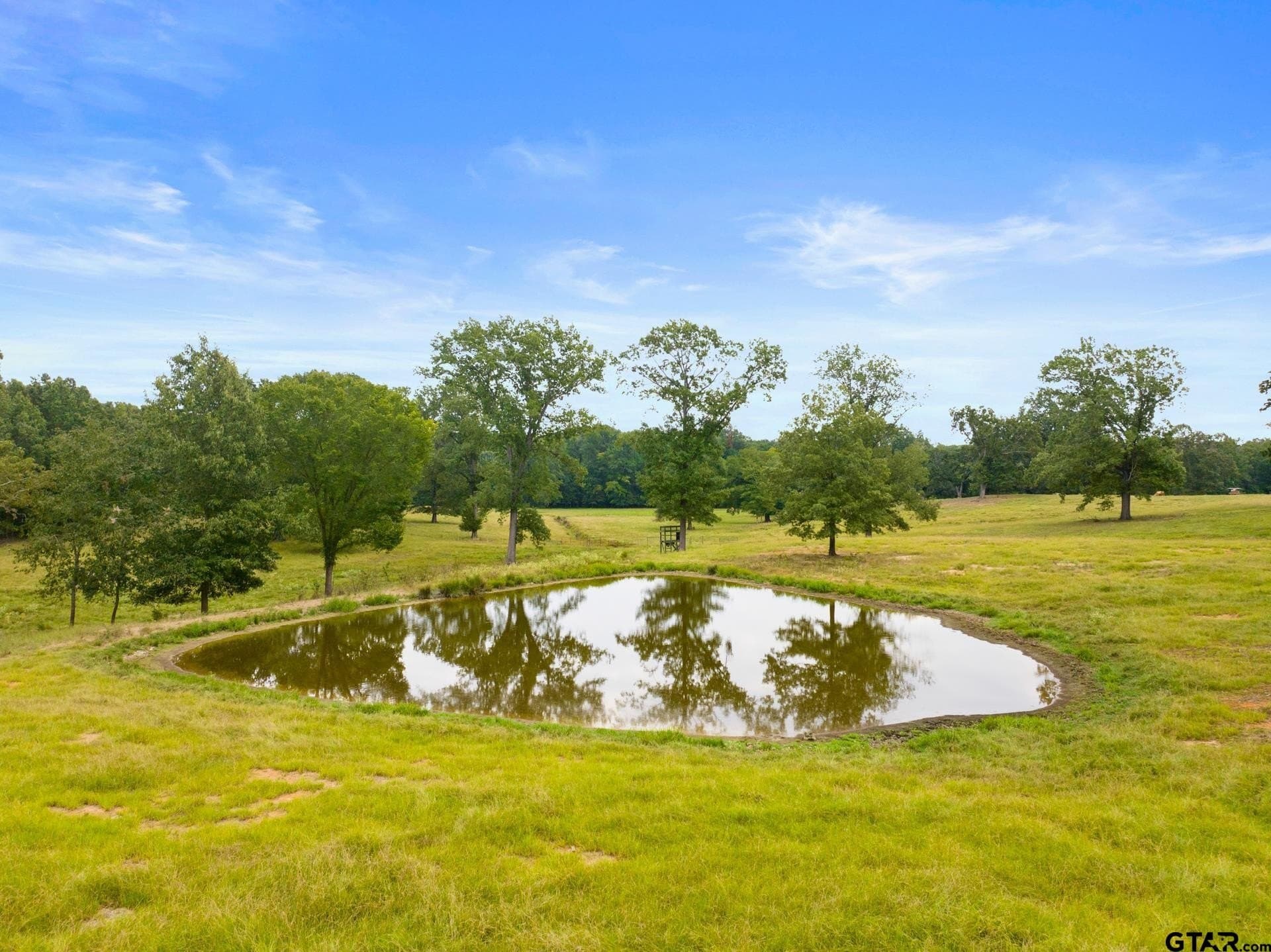 160 acres in Titus County - photo 37