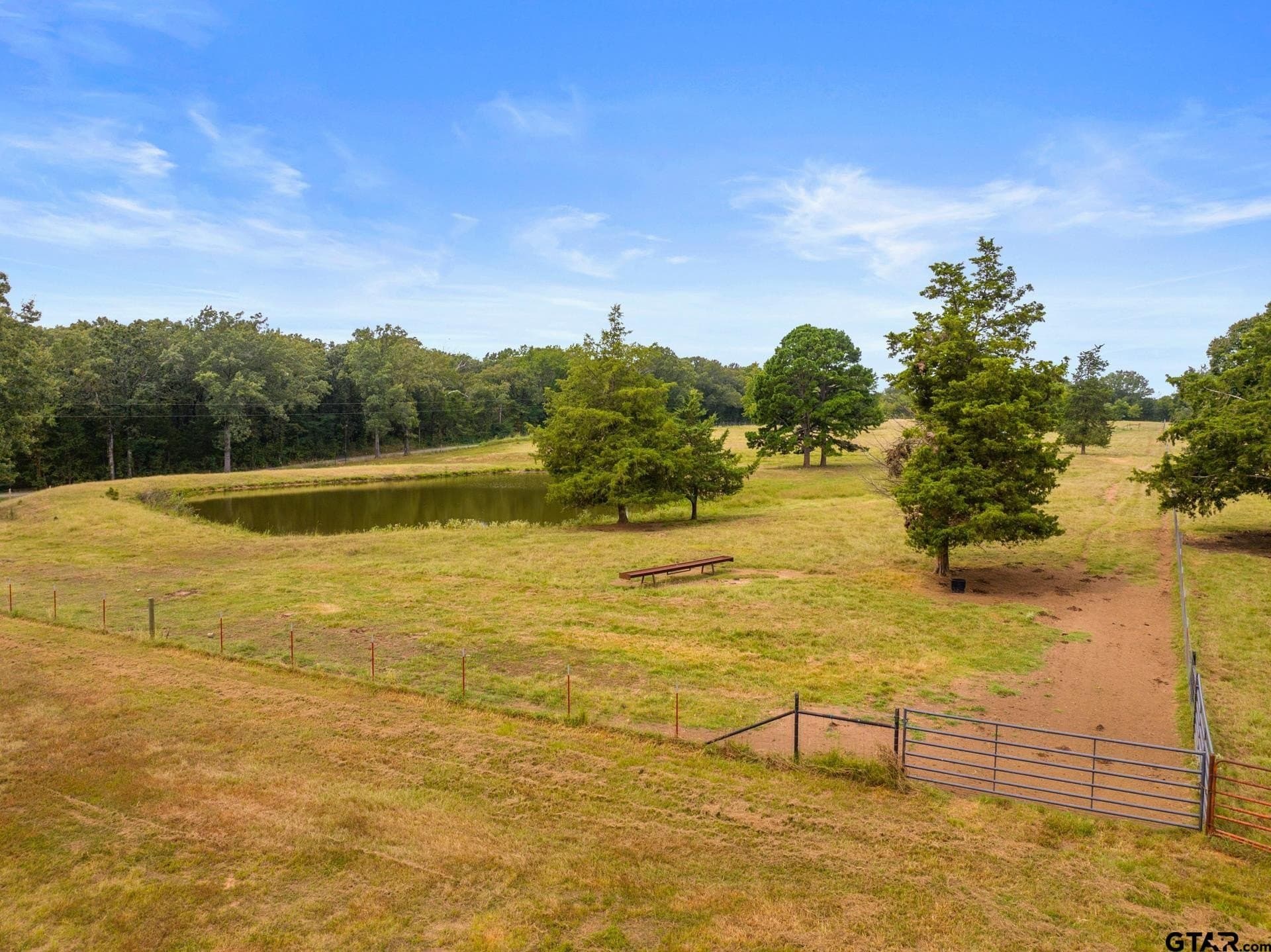 160 acres in Titus County - photo 38