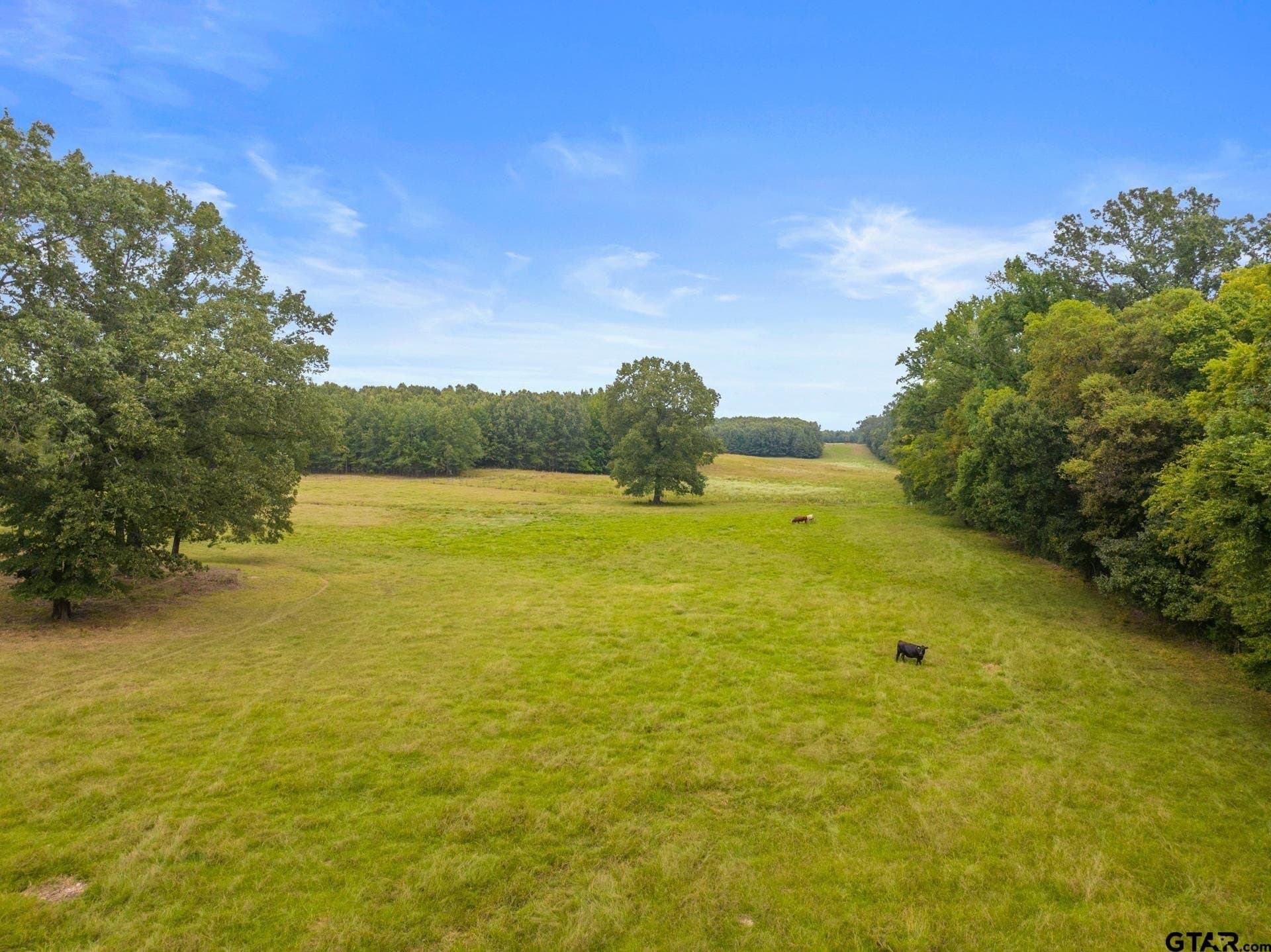 160 acres in Titus County - photo 39