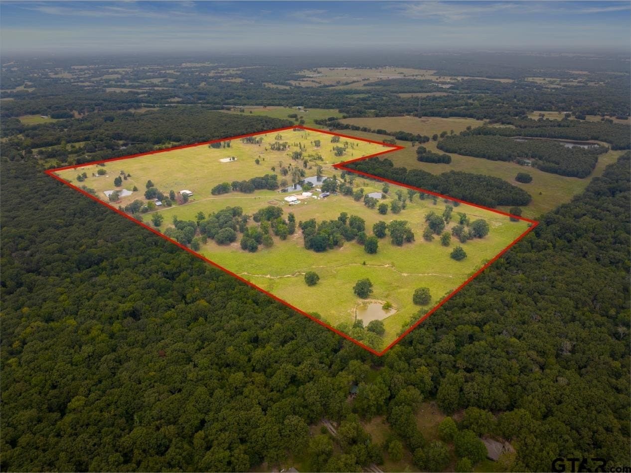 160 acres in Titus County - photo 2