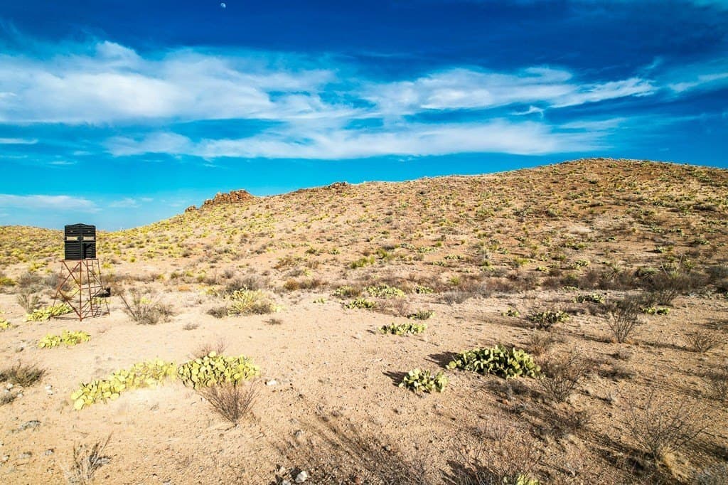 10.06 acres in Brewster County - photo 20