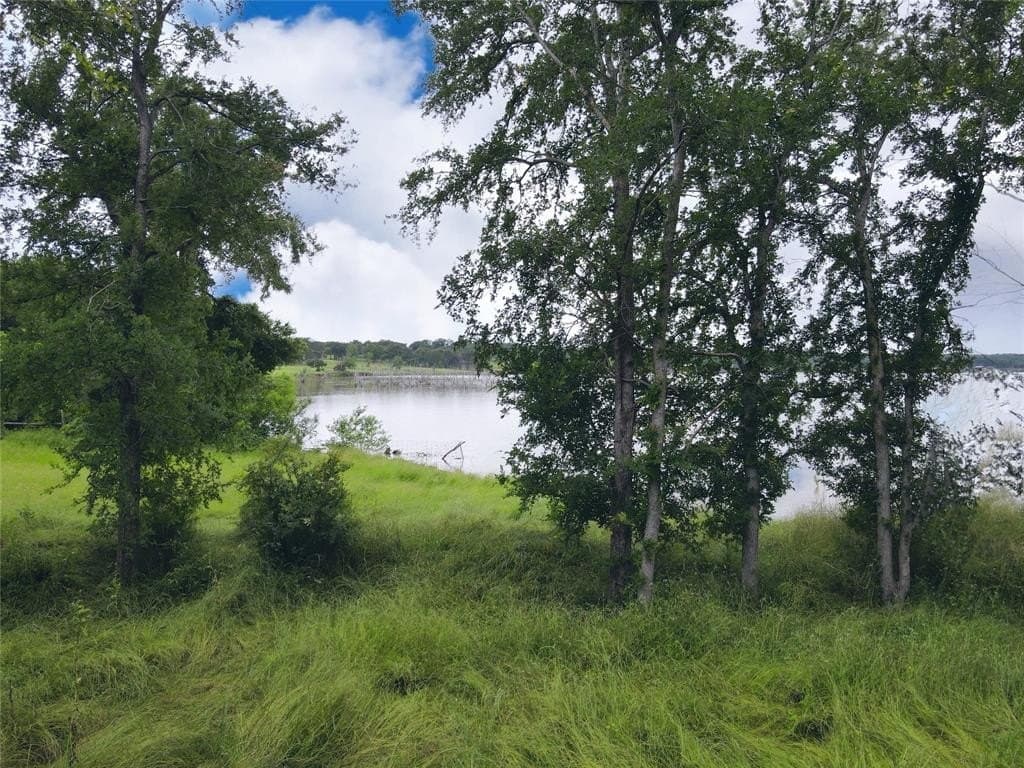 1.19 acres in Navarro County - photo 9