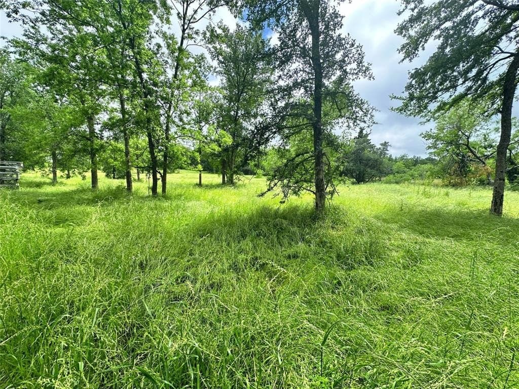 1.19 acres in Navarro County - photo 13