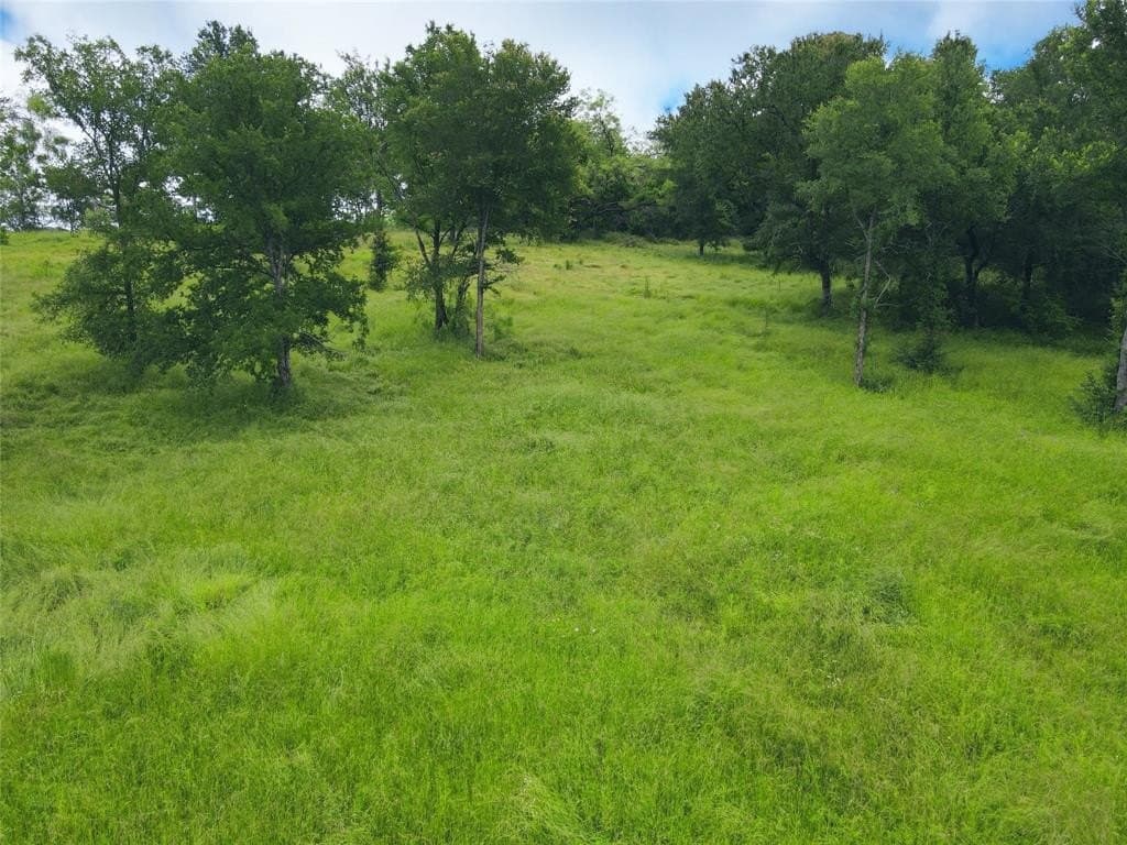 1.19 acres in Navarro County - photo 21