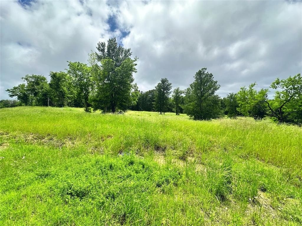 1.19 acres in Navarro County - photo 20