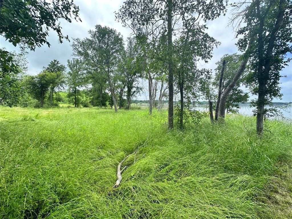 1.19 acres in Navarro County - photo 16
