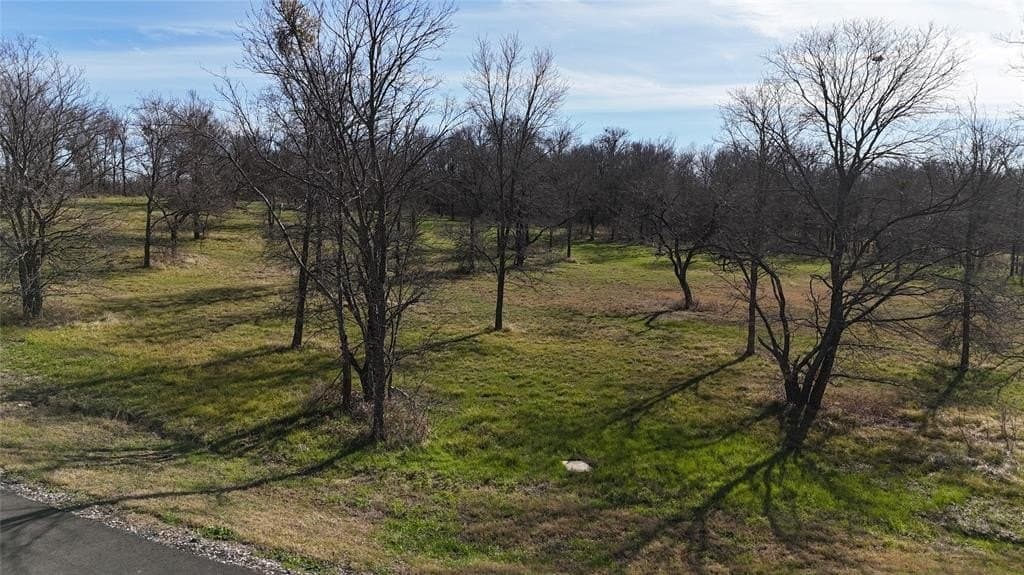 1.19 acres in Navarro County - photo 31