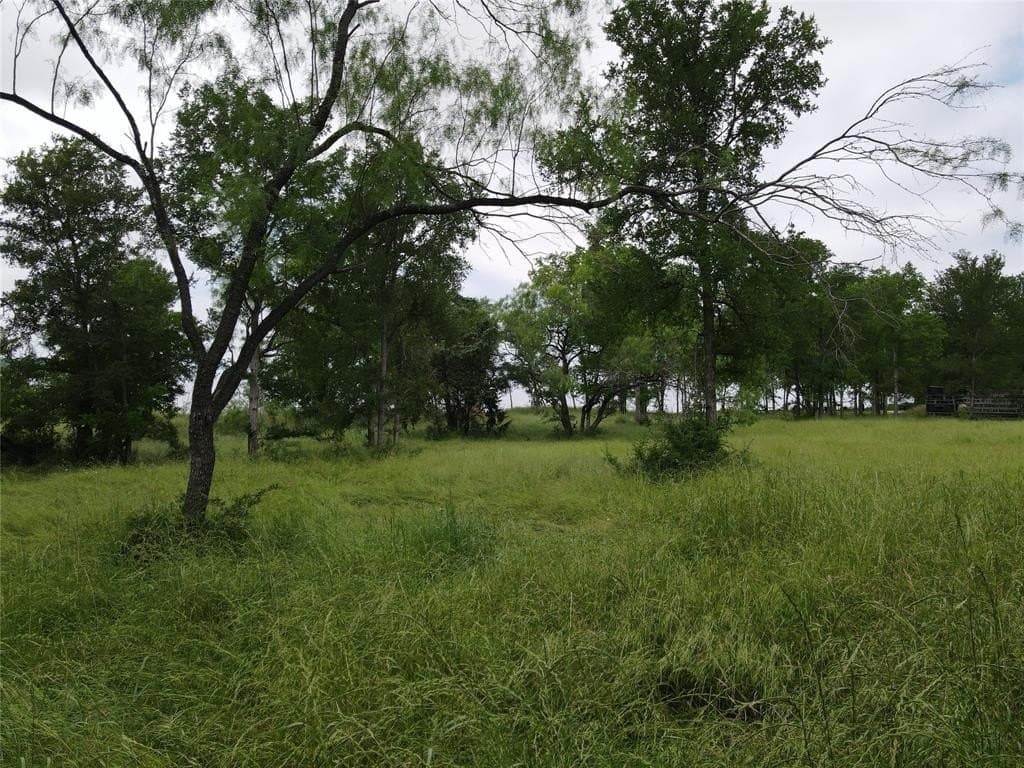1.19 acres in Navarro County - photo 29