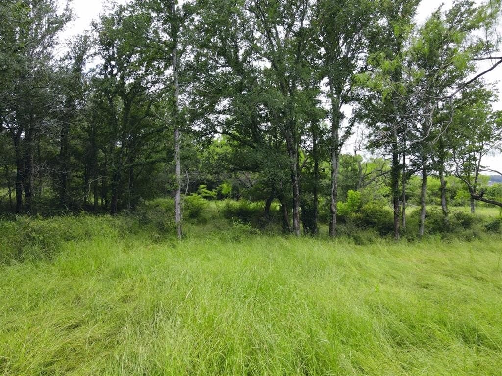 1.19 acres in Navarro County - photo 27