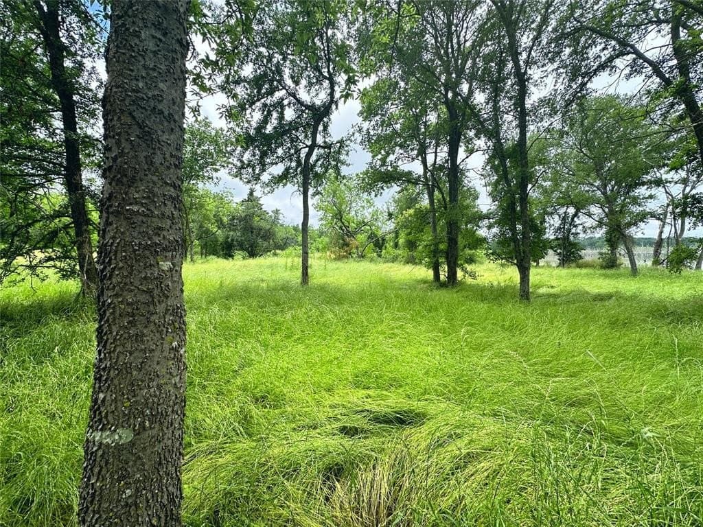 1.19 acres in Navarro County - photo 11