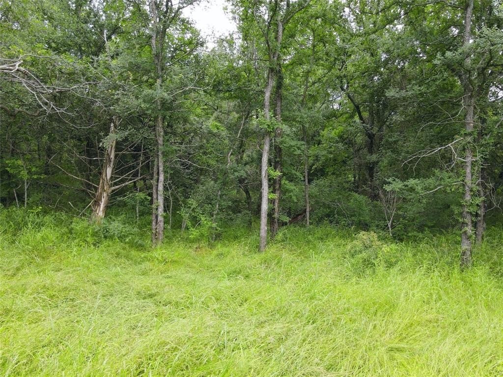 1.19 acres in Navarro County - photo 19