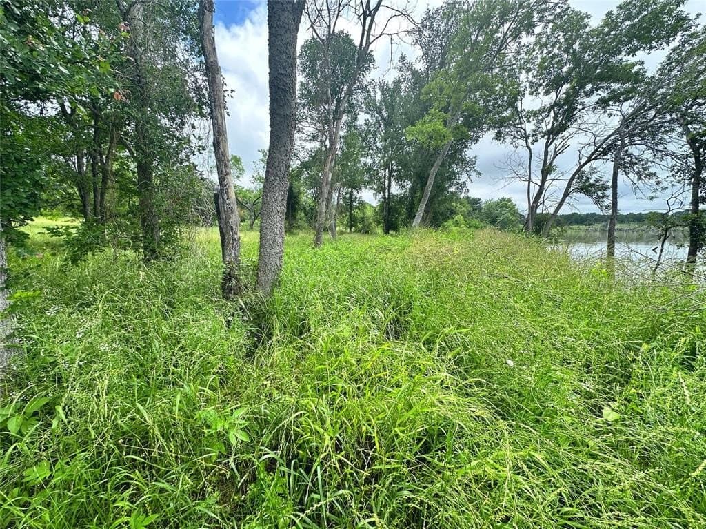 1.19 acres in Navarro County - photo 10
