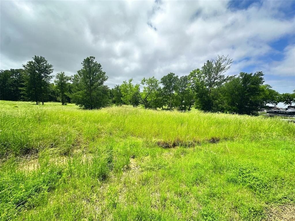1.19 acres in Navarro County - photo 14