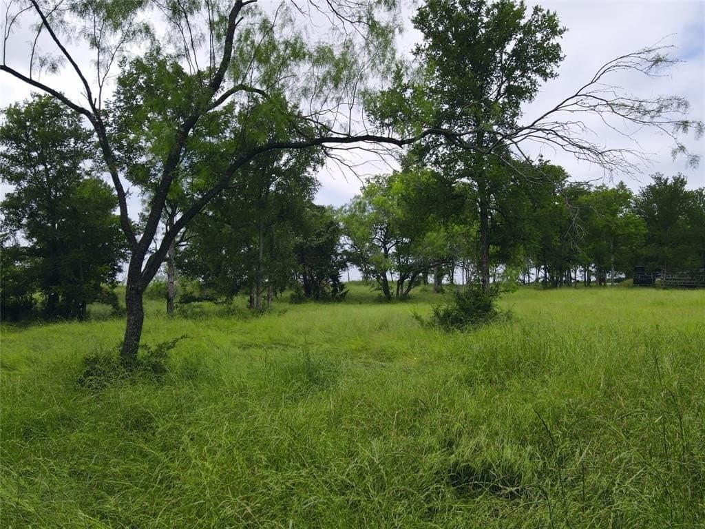 1.19 acres in Navarro County - photo 26