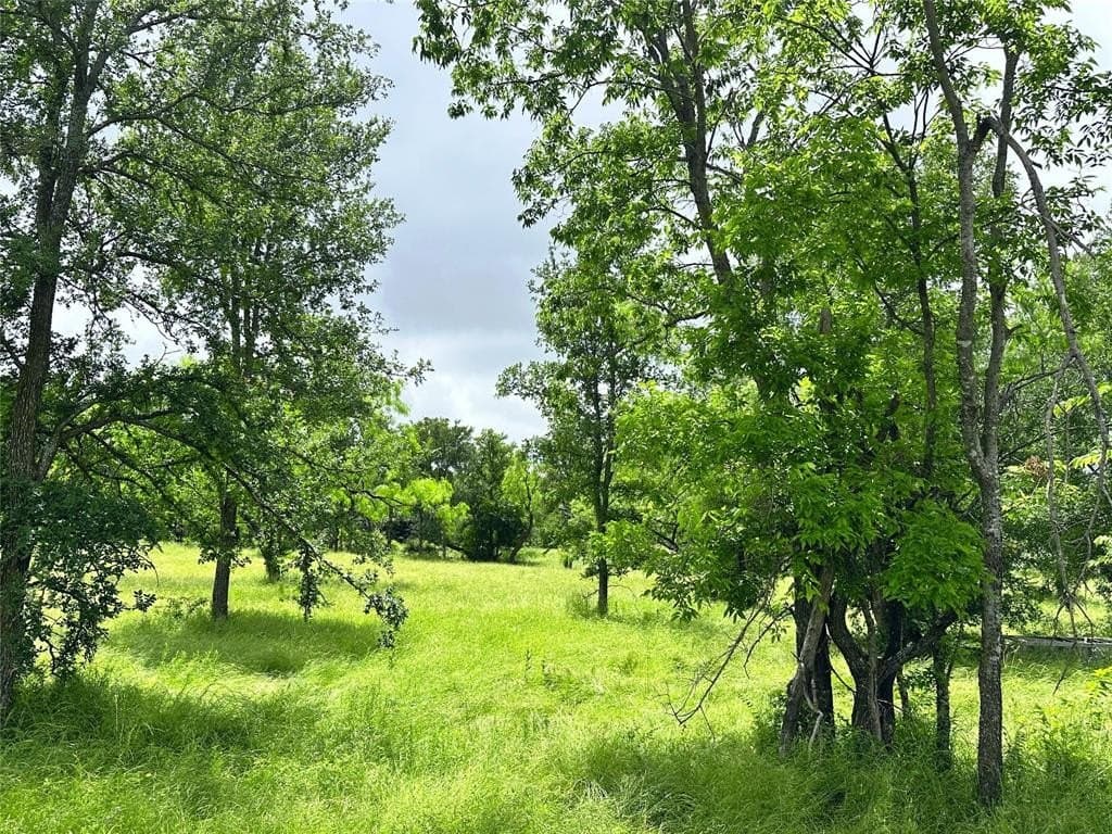 1.19 acres in Navarro County - photo 25