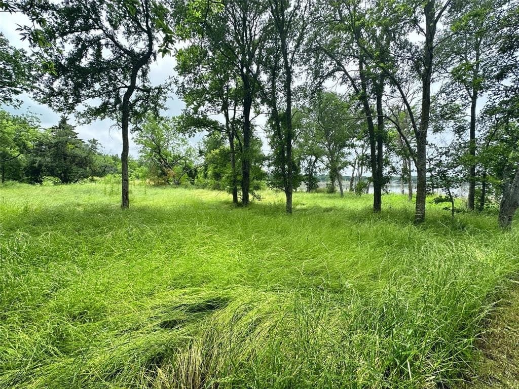 1.19 acres in Navarro County - photo 12
