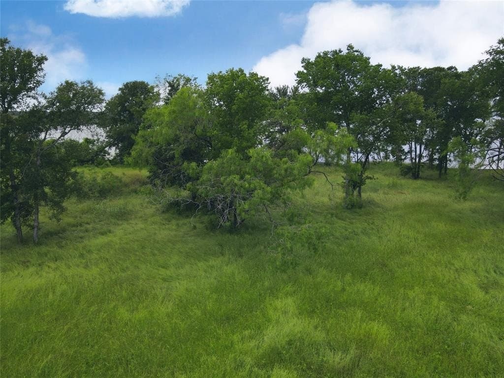 1.19 acres in Navarro County - photo 17