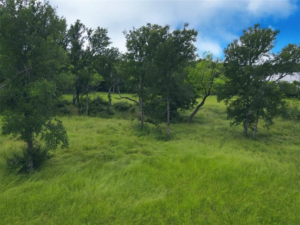 1.19 acres in Navarro County - photo 28