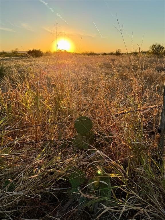 2 acres in Taylor County - photo 2