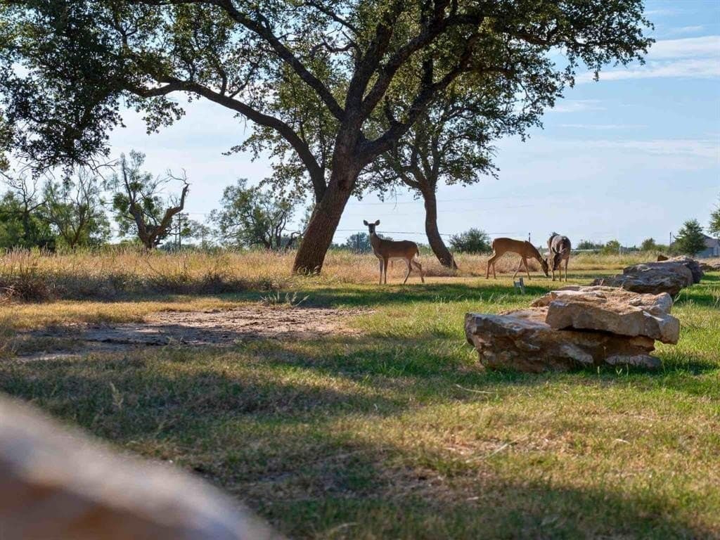 0.1 acres in Palo Pinto County - photo 9