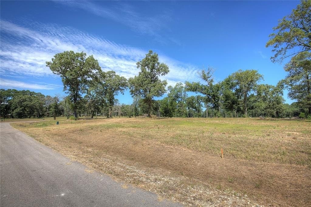 0.91 acres in Henderson County - photo 6