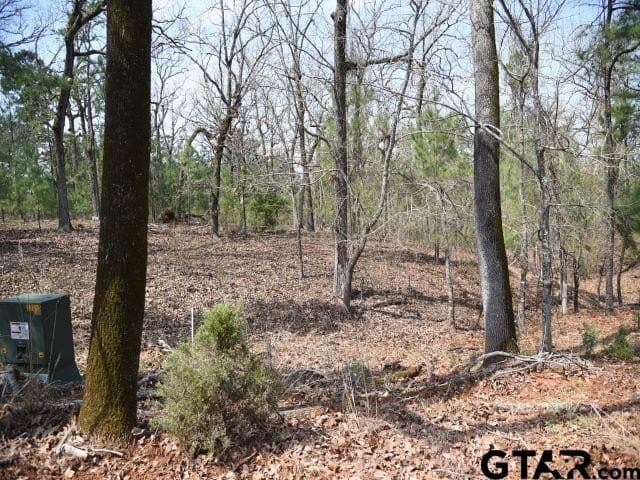 1.32 acres in Anderson County - photo 2