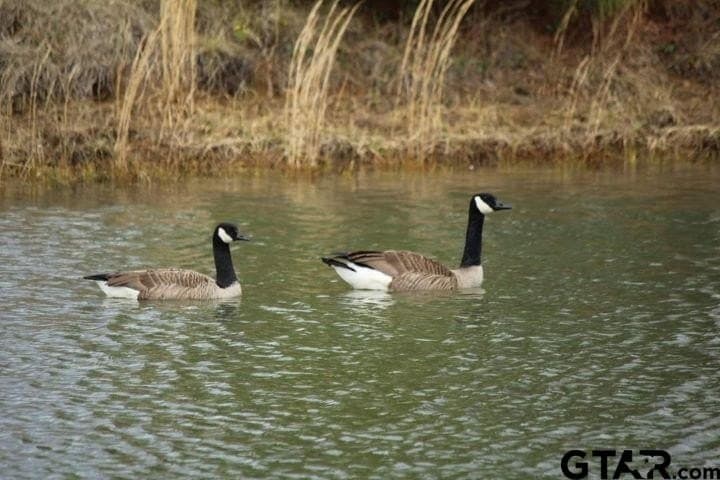 1.32 acres in Anderson County - photo 18