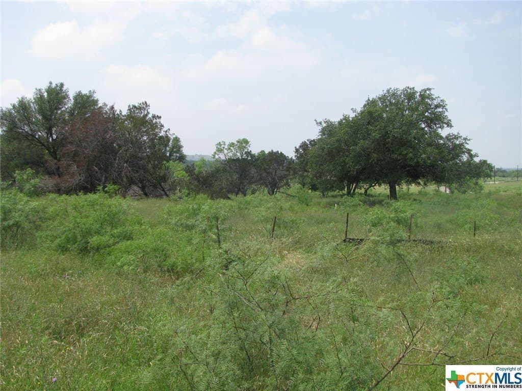 10.01 acres in Coryell County - photo 4