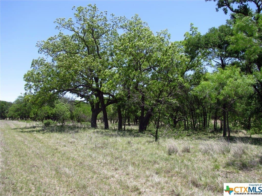 10.01 acres in Coryell County - photo 3