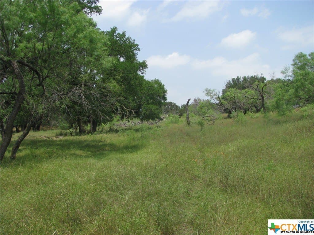 10.01 acres in Coryell County - photo 7
