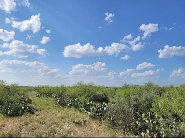10.35 acres in WEBB County - photo 2