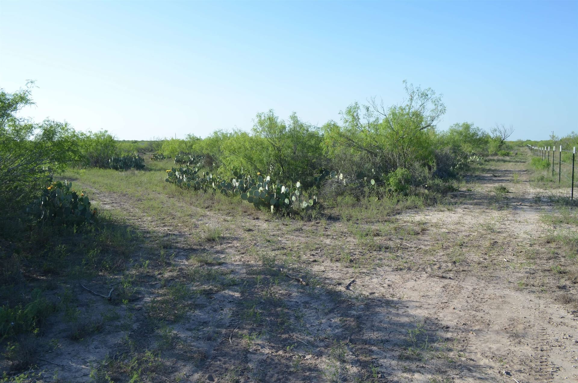10.35 acres in WEBB County - photo 14