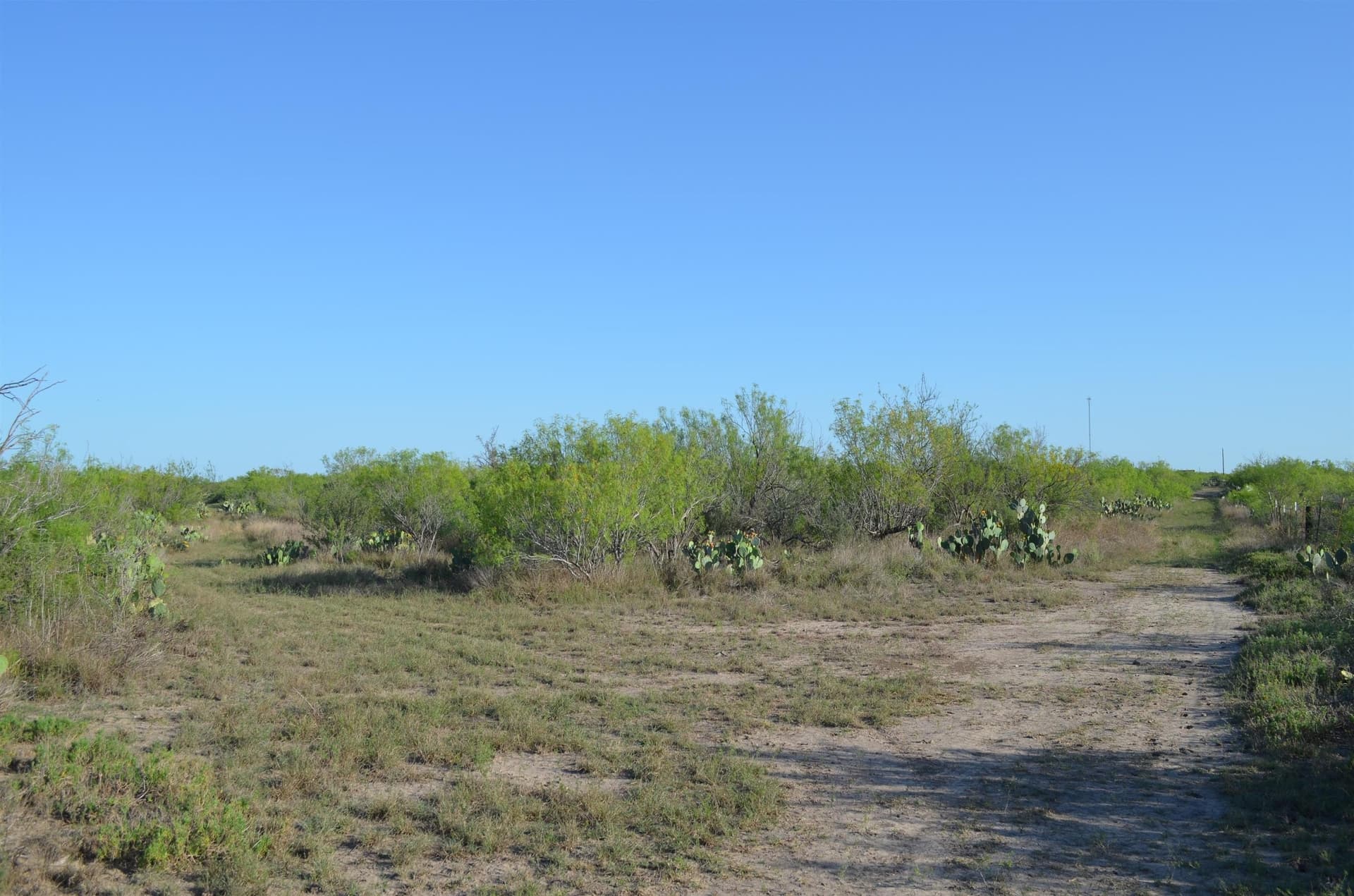 10.35 acres in WEBB County - photo 21