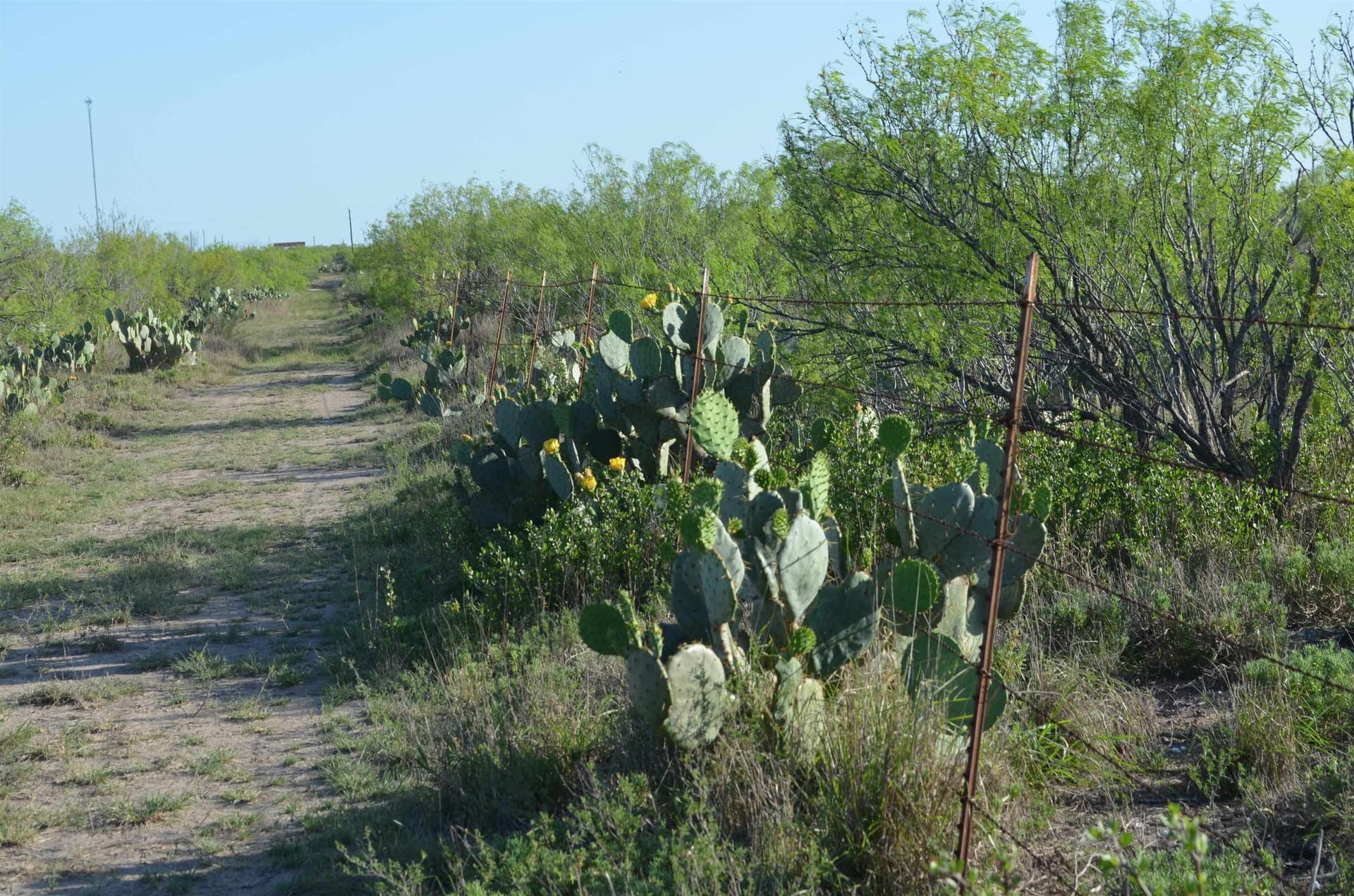 10.35 acres in WEBB County - photo 20