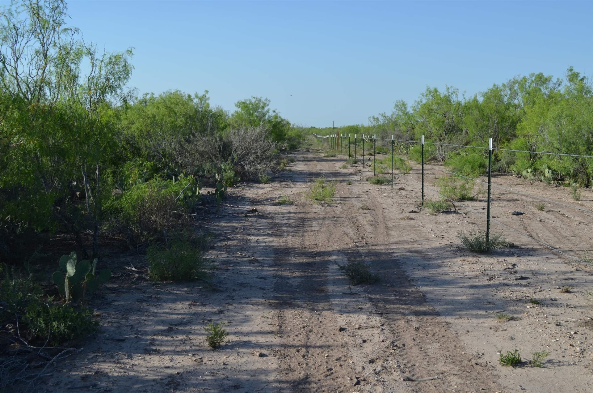10.35 acres in WEBB County - photo 12
