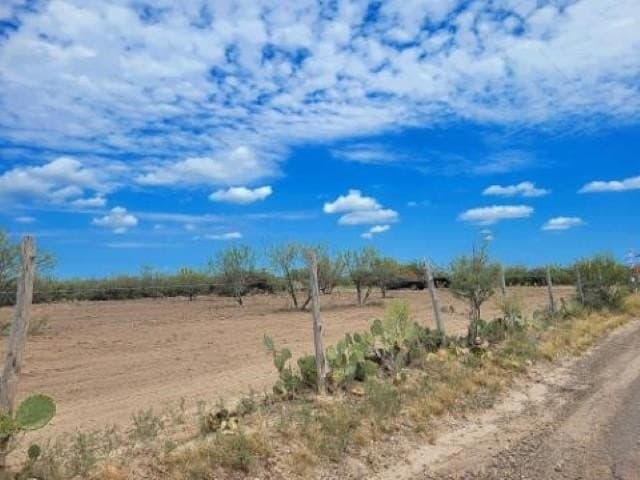 10.35 acres in WEBB County - photo 5