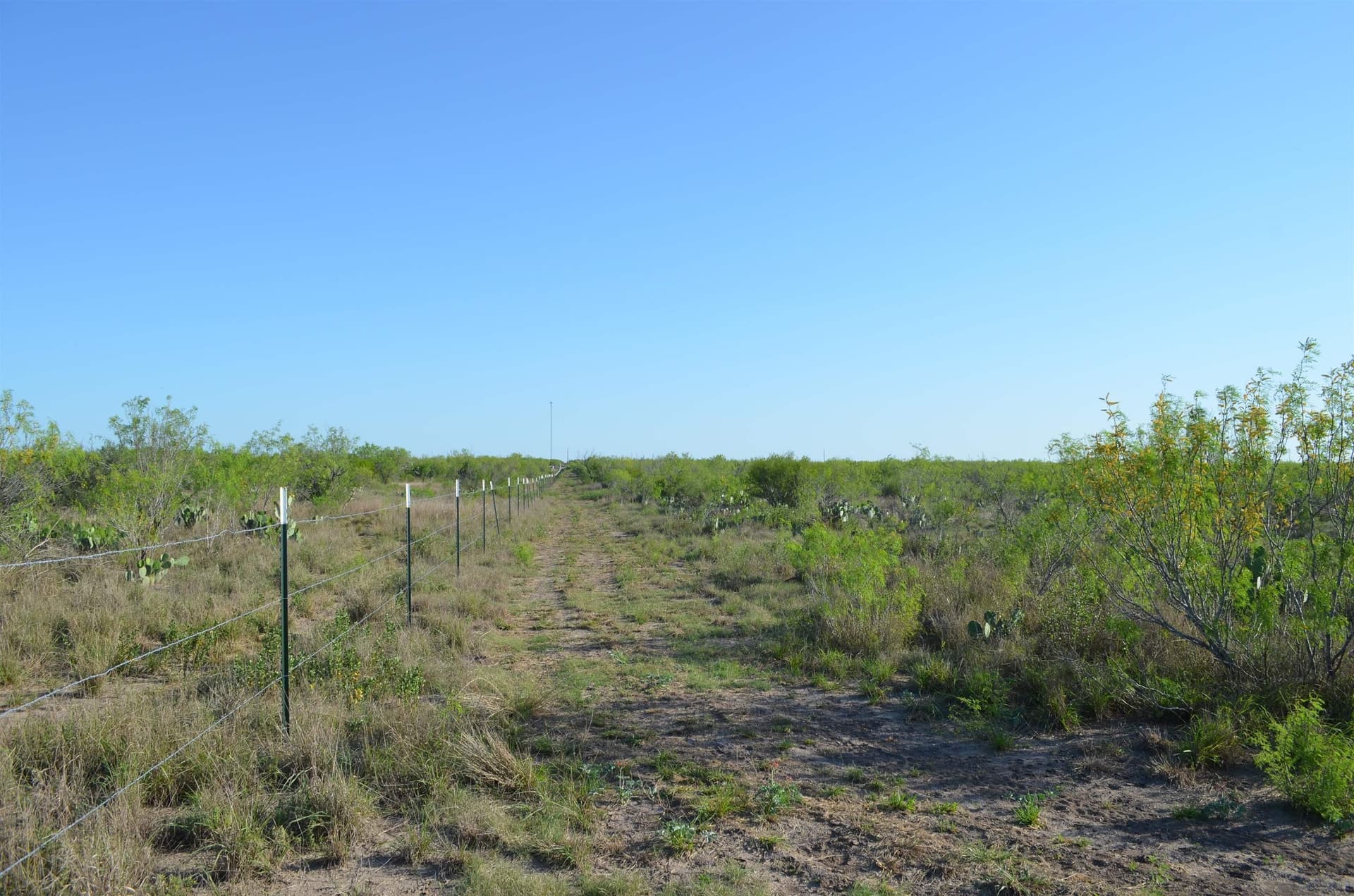 10.35 acres in WEBB County - photo 17