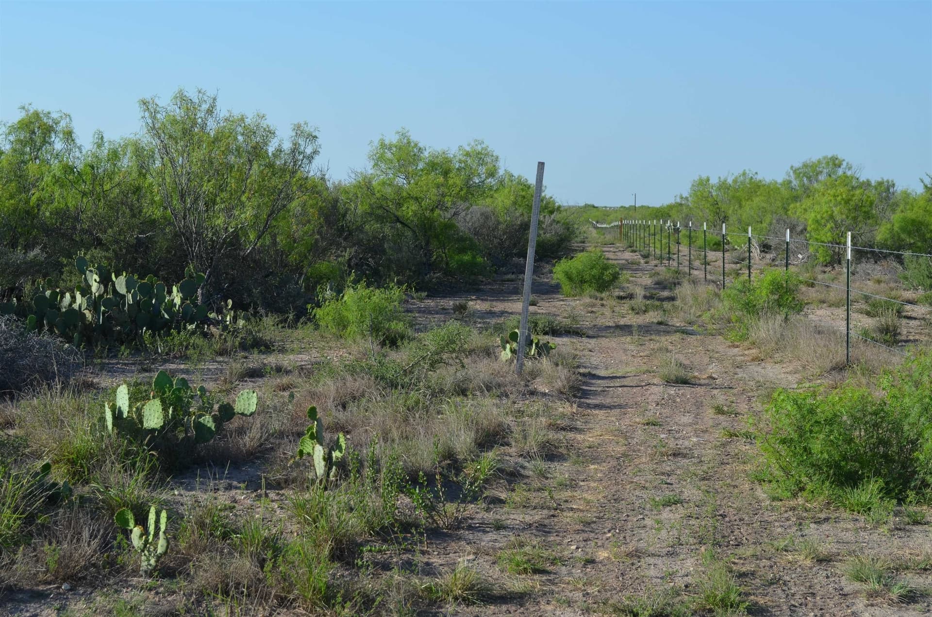 10.35 acres in WEBB County - photo 10