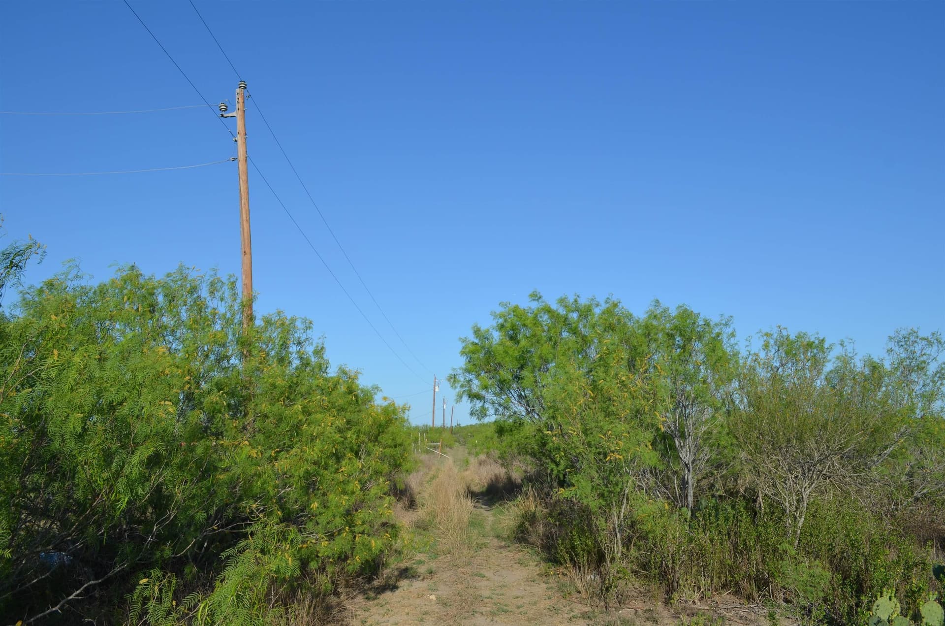 10.35 acres in WEBB County - photo 18
