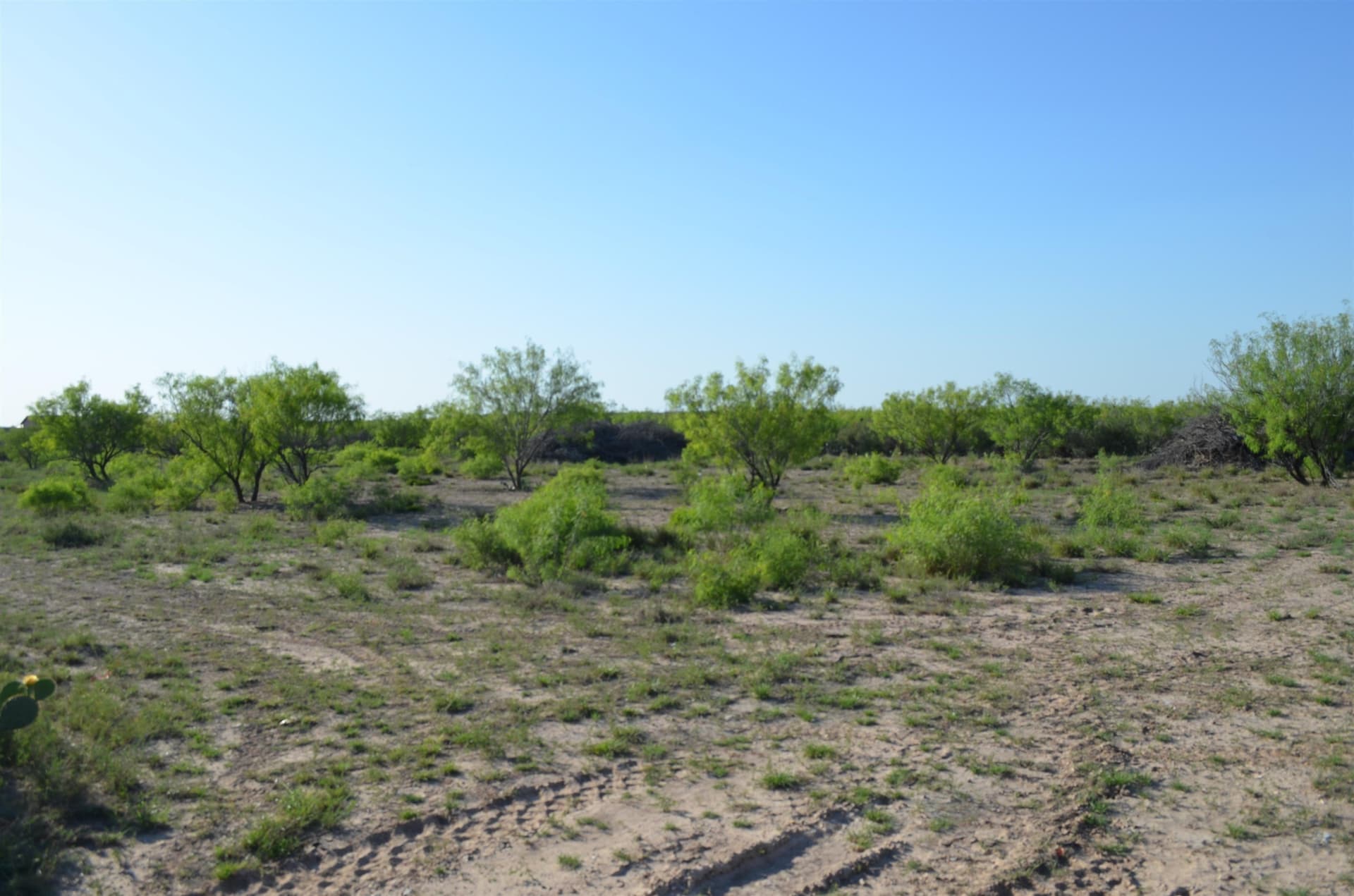 10.35 acres in WEBB County - photo 6