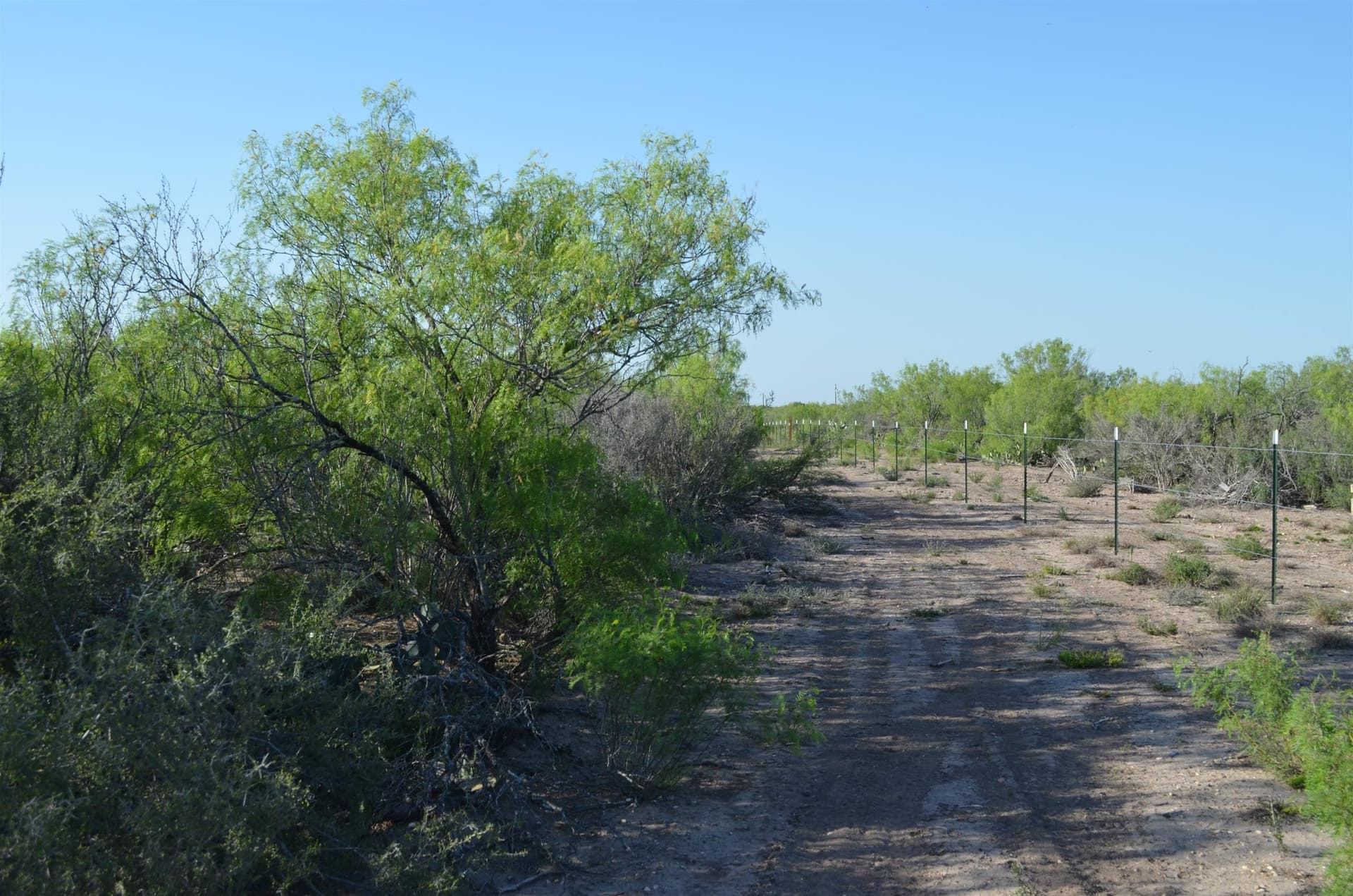 10.35 acres in WEBB County - photo 11