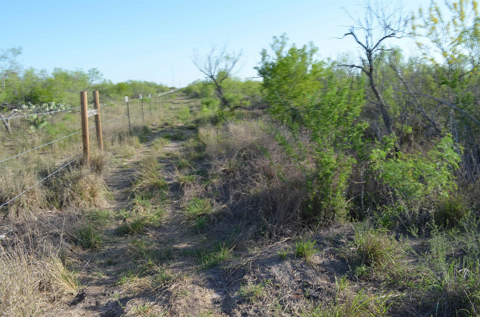 10.35 acres in WEBB County - photo 16