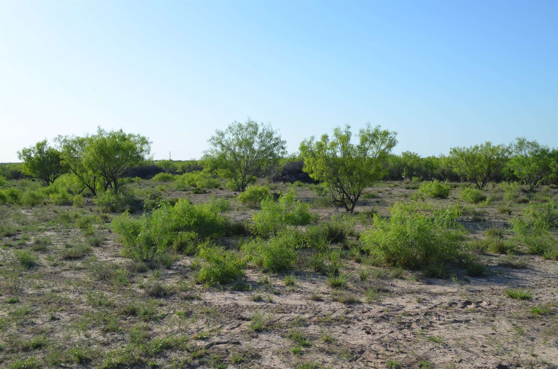 10.35 acres in WEBB County - photo 8
