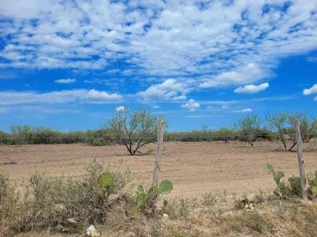 10.35 acres in WEBB County - photo 4